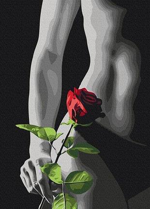 Набір картина за номерами "елегантний акцент" 40х50см bs53919, yargo