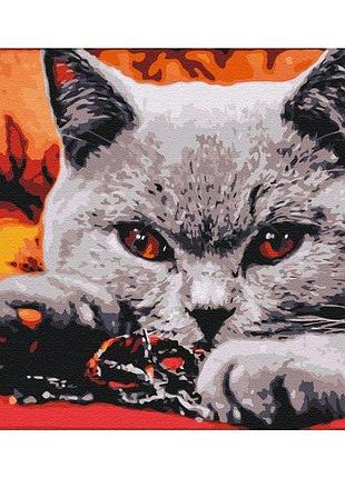 Набор картина по номерам "домашний хищник" 40х50см bs32800, yargo
