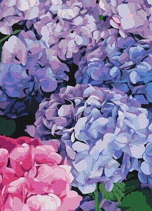 Набір картина за номерами "яскрава гортензія" 40х50см bs51667, yargo
