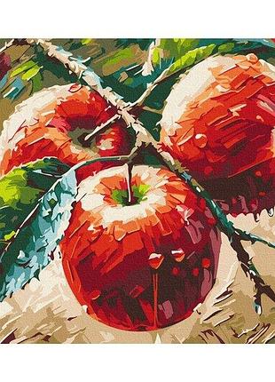 Набор картина по номерам "свежие яблоки © олег лобурак" 40х50см bs54166, yargo
