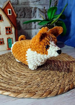 Корги песик