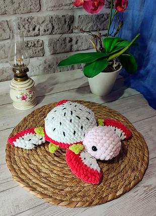 Черепашка питахайя