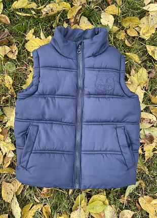 Жилет теплий, дитячий на сінтапоні, унісекс