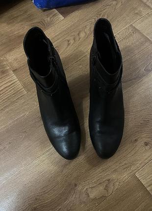 Черевики демісезоні