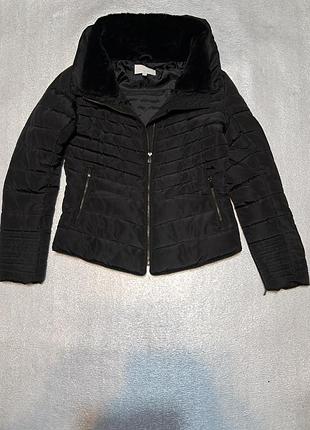 Жіноча тепла зимова курта zebra