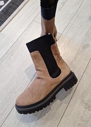 Чесли замшевые