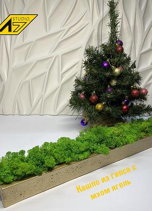 Стабілізований мох у кашпо gold-green mos decor