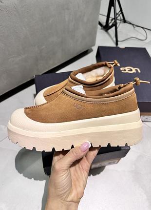 Уггі калоші ugg tasman weather hybrid