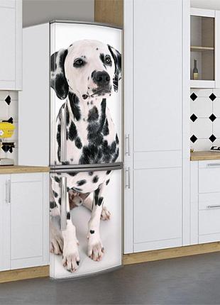Наклейки для холодильника, с собакой далматинцем, 180х60 см - лицевая(в), с ламинацией
