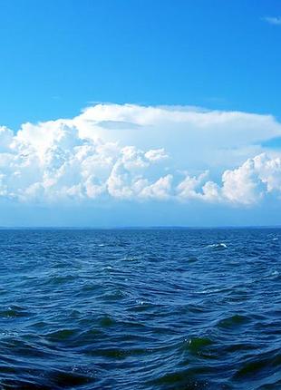 Фотосетка рулонная для забора и беседки, код065