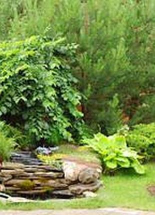 Фотосетка рулонная для забора и беседки, код003