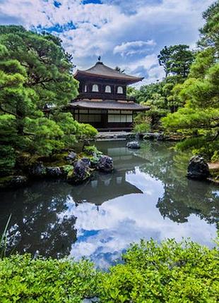 Фотосетка рулонная для забора и беседки, код010