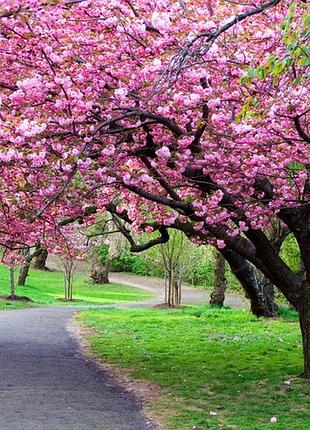 Фотосетка рулонная для забора и беседки, код048