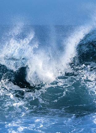 Фотосетка рулонная для забора и беседки, код066