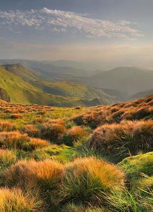 Фотосетка рулонная для забора и беседки, код139