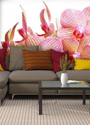 Фотообои текстурированные, виниловые цветы, 250х380 см, fo01inv_fl13251