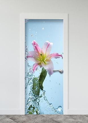 Интерьерная наклейка на двери (виниловая пленка самоклеющаяся ламинированная пвх) 200 х 65 см