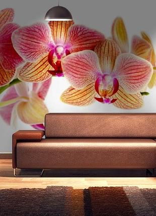 Фотообои текстурированные, виниловые цветы, 250х380 см, fo01inv_fl12682