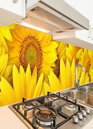 Наклейка на кухонный фартук 60 х 200 см, фотопечать с защитной ламинацией подсолнухи большие (бп-s_fl11511)