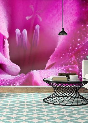 Фотообои текстурированные, виниловые цветы, 250х380 см, fo01inv_fl102888