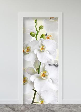 Наклейка виниловая на двери орхидеи (самоклеящаяся ламинированная пленка) 200 х 65 см