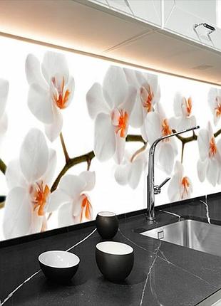 Наклейка на кухонный фартук 60 х 200 см, фотопечать с защитной ламинацией орхидеи белые (бп-s_fl11723)