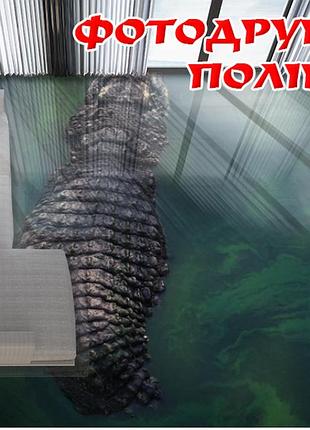 Наклейка для создания 3d пола 2 х 2 м (под заказ любой размер) с защитной ламинацией (бп-pol_fa014)