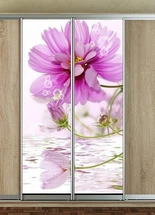 Наклейка для шкафа-купе 220 х 60 см на 2  двери  цветок над водой (бп_а_fl12044)