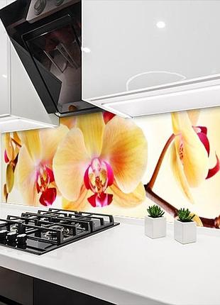 Наклейка на кухонный фартук 60 х 200 см, фотопечать с защитной ламинацией орхидеи желтые (бп-s_fl203)
