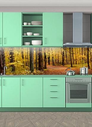 Наклейка на кухонный фартук 60 х 300 см, фотопечать с защитной ламинацией лесная дорога (бп-s_pr063)