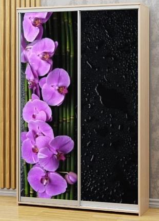 Наклейка на шкаф-купе 220 х 60 см на 2 двери орхидеи (бп_а_fl13439)