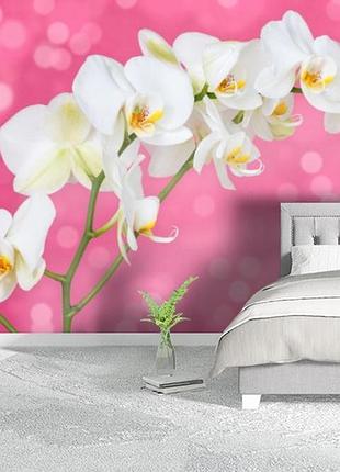 Фотообои текстурированные, виниловые цветы, 250х380 см, fo01inv_fl101953