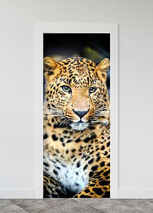 Виниловая наклейка на двери (самоклеющаяся ламинированная пленка) 200 х 65 см