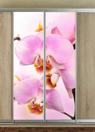 Наклейка для шкафа-купе 220 х 60 см на 2  двери  ветка орхидеи (бп_а_fl11668)