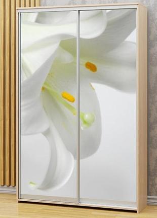 Наклейка на шкаф-купе 220 х 60 см на 2 двери цветы (бп_а_fl101579)