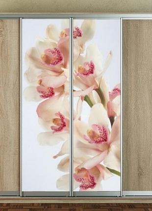 Наклейка для шкафа-купе 220 х 60 см на 2  двери  ветка орхидеи (бп_а_fl11768)