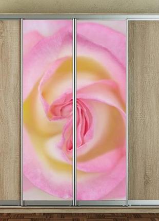 Наклейка на шкаф-купе 220 х 60 см на 2 двери розовая роза (бп_а_fl13158)