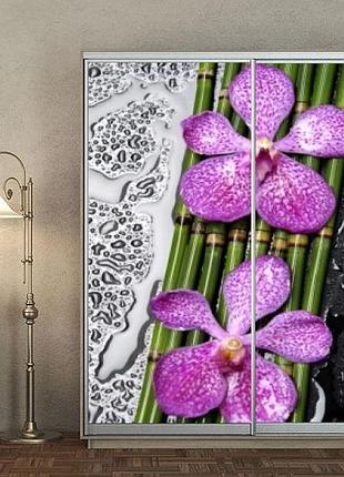 Наклейка на шкаф-купе 220 х 102 см на 2 двери орхидеи (бп_а_fl102910)