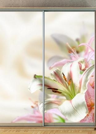 Наклейка на шкаф-купе 220 х 102 см на 2 двери лилия (бп_а_fl11834)