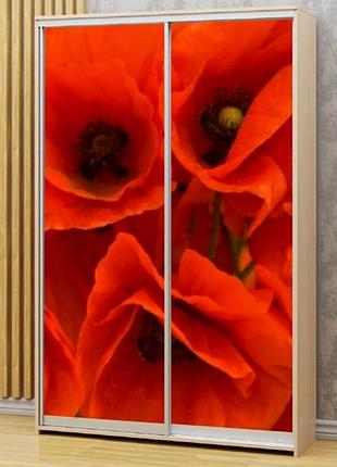 Наклейка на шкаф-купе 220 х 60 см на 2 двери маки (бп_а_fl13527)