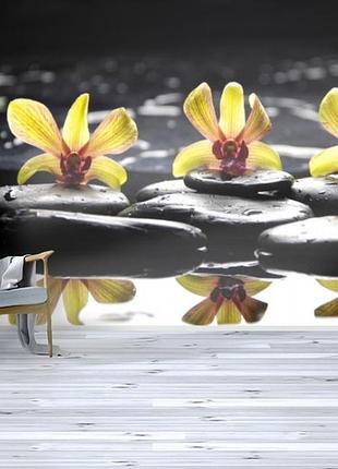 Фотообои текстурированные, виниловые цветы, 250х380 см, fo01inv_fl12325