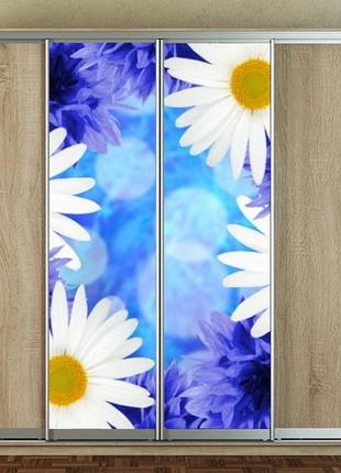 Наклейка для шкафа-купе 220 х 60 см на 2  двери ромашки (бп_а_fl12617)