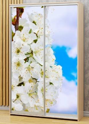 Наклейка на шкаф-купе 220 х 60 см на 2 двери цветущая яблоня (бп_а_fl101678)