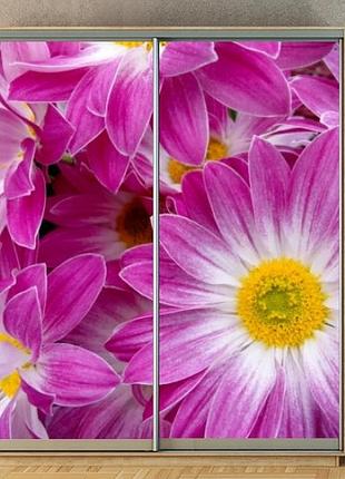 Наклейка на шкаф-купе 220 х 102 см на 2 двери цветы (бп_а_fl101785)