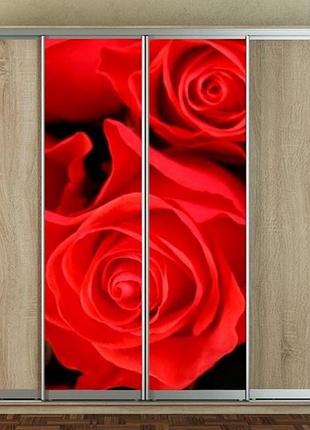 Наклейка на шкаф-купе 220 х 60 см на 2 двери розы (бп_а_fl102723)
