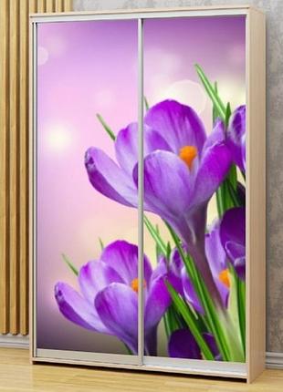 Наклейка на шкаф-купе 220 х 60 см на 2 двери крокусы (бп_а_fl12497)