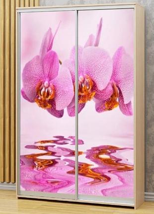 Наклейка на шкаф-купе 220 х 60 см на 2 двери орхидеи (бп_а_fl12956)