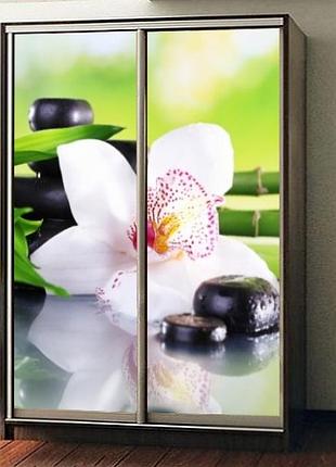 Наклейка на шкаф-купе 220 х 74 см на 2 двери орхидея белая (бп_а_fl13603)