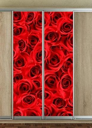 Наклейка для шкафа-купе 220 х 60 см на 2  двери  красные розы (бп_а_fl12424)