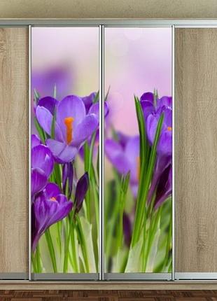 Наклейка для шкафа-купе 220 х 60 см на 2  двери крокусы (бп_а_fl10717)